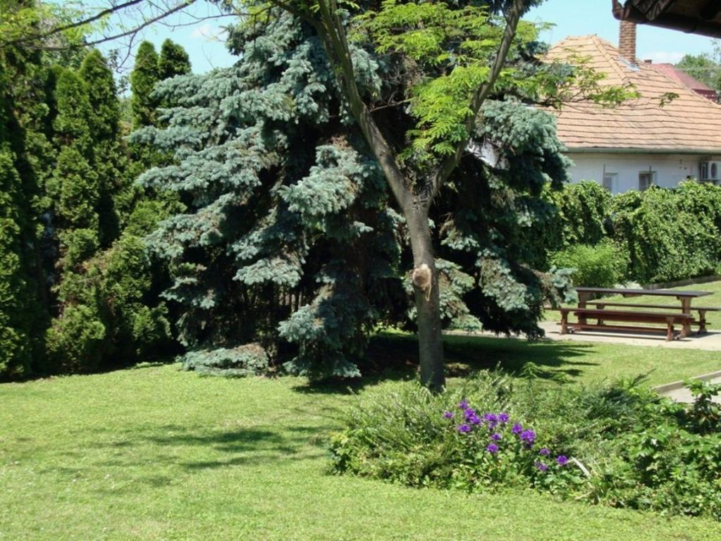 Ferienwohnung Gyongyvirag Vendeghaz Balatonboglár Exterior foto